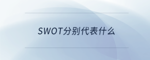 swot分別代表什么