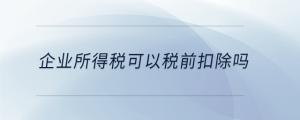 企業(yè)所得稅可以稅前扣除嗎