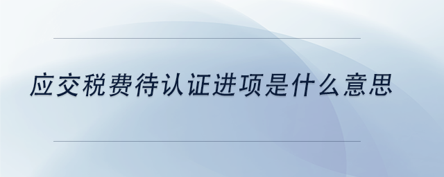 中級會計應(yīng)交稅費待認證進項是什么意思