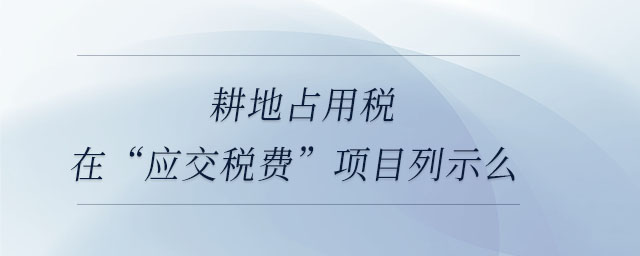 耕地占用稅在“應(yīng)交稅費”項目列示么