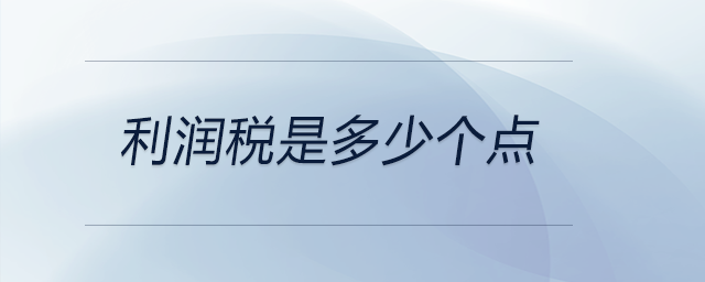 利潤稅是多少個點