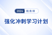 2024年稅務(wù)師《稅法二》強(qiáng)化沖刺階段學(xué)習(xí)計(jì)劃