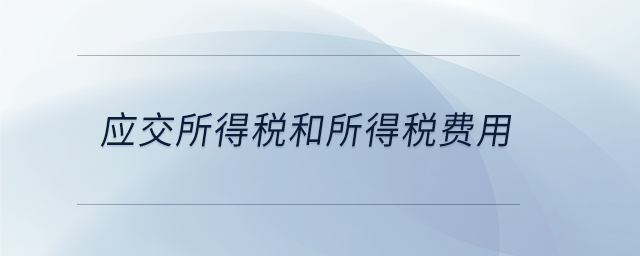 應(yīng)交所得稅和所得稅費(fèi)用