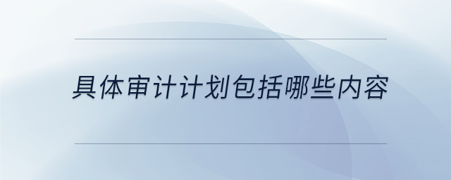 具體審計計劃包括哪些內容