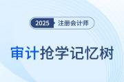 預(yù)習(xí)快人一步,！2025考季注冊會計師《審計》搶學(xué)記憶樹