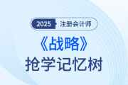 第二章戰(zhàn)略分析②_25年注冊會計師戰(zhàn)略搶學(xué)記憶樹