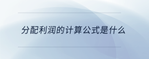 分配利潤的計算公式是什么