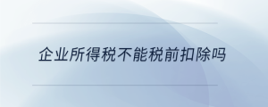 企業(yè)所得稅不能稅前扣除嗎