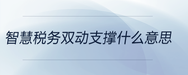 智慧稅務(wù)雙動(dòng)支撐什么意思