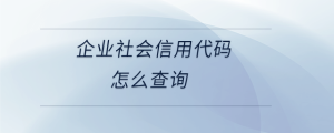 企業(yè)社會信用代碼怎么查詢