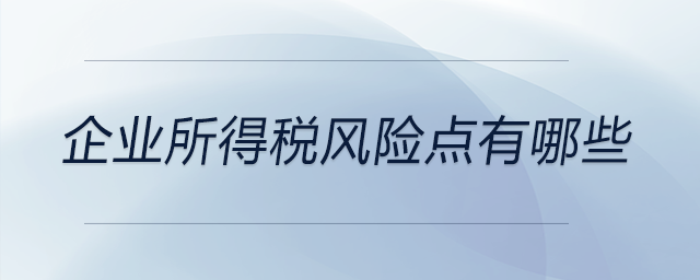 企業(yè)所得稅風(fēng)險點有哪些