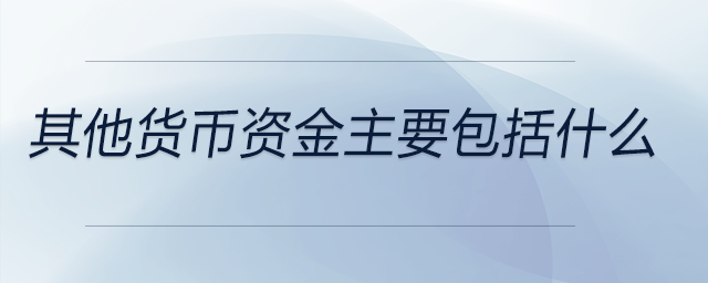 其他貨幣資金主要包括什么