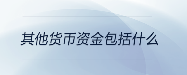 其他貨幣資金包括什么