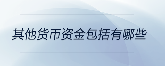 其他貨幣資金包括有哪些