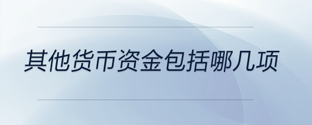 其他貨幣資金包括哪幾項(xiàng)