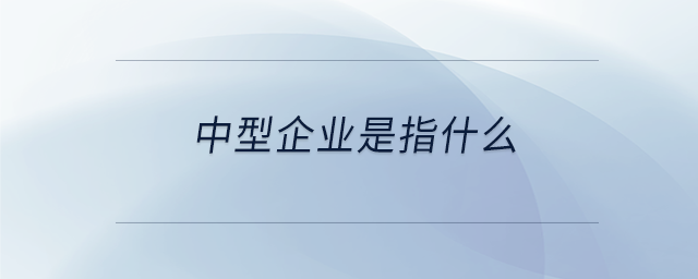 中型企業(yè)是指什么