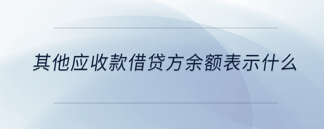 其他應(yīng)收款借貸方余額表示什么