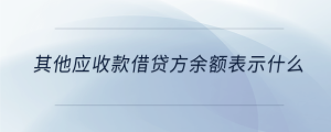 其他應收款借貸方余額表示什么