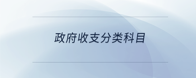 政府收支分類科目