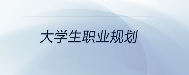 一份想要成為企業(yè)高級(jí)管理人員與注冊(cè)會(huì)計(jì)師的大學(xué)生職業(yè)規(guī)劃