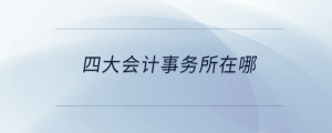 四大會(huì)計(jì)事務(wù)所在哪