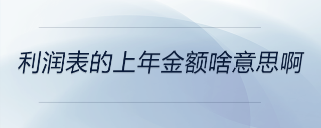 利潤表的上年金額啥意思啊