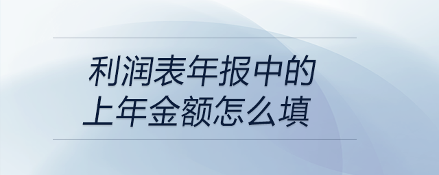 利潤(rùn)表年報(bào)中的上年金額怎么填