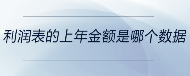 利潤表的上年金額是哪個數(shù)據(jù)