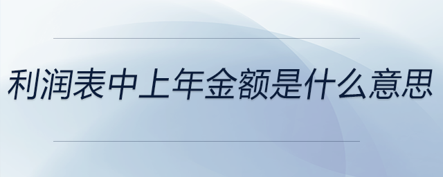 利潤表中上年金額是什么意思