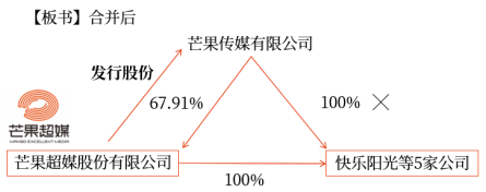 企業(yè)合并形成的長(zhǎng)期股權(quán)投資