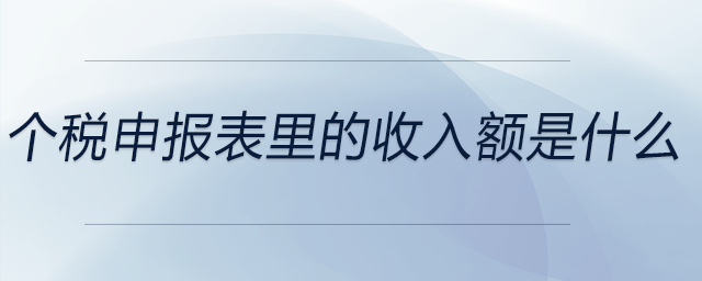 個稅申報表里的收入額是什么