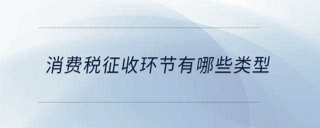 消費稅征收環(huán)節(jié)有哪些類型