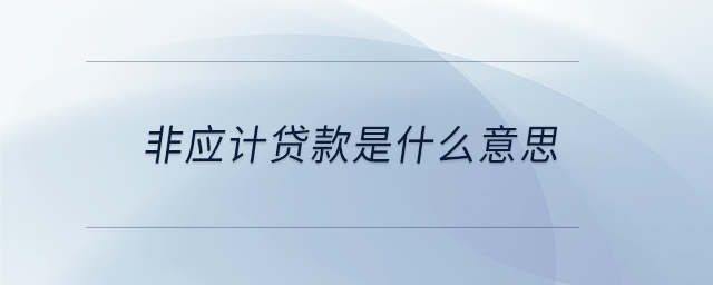 非應(yīng)計貸款是什么意思