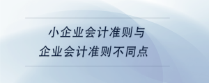 小企業(yè)會計(jì)準(zhǔn)則與企業(yè)會計(jì)準(zhǔn)則不同點(diǎn)