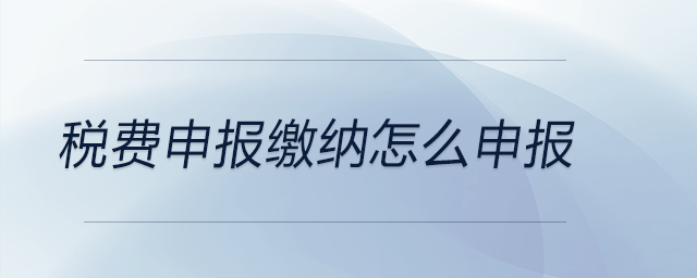 稅費申報繳納怎么申報