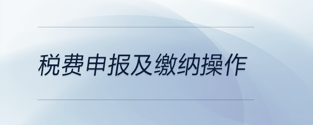 稅費申報及繳納操作