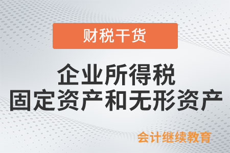 企業(yè)所得稅的固定資產(chǎn)和無形資產(chǎn)包括什么,？