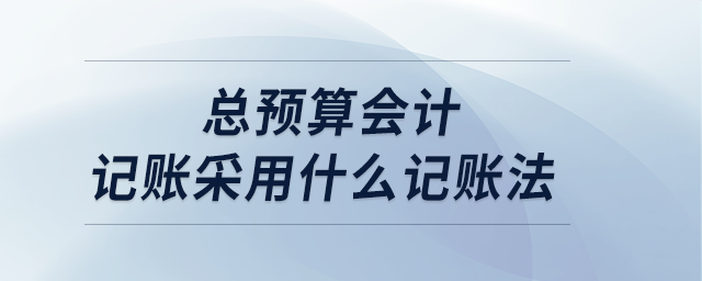 總預(yù)算會計記賬采用什么記賬法