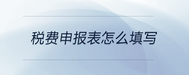 稅費(fèi)申報(bào)表怎么填寫