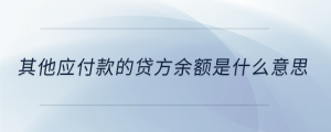 其他應(yīng)付款的貸方余額是什么意思