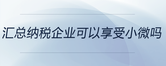 匯總納稅企業(yè)可以享受小微嗎