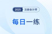 2025年注冊(cè)會(huì)計(jì)師考試每日一練匯總2.7