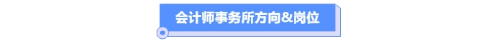 會(huì)計(jì)師事務(wù)所方向&崗位