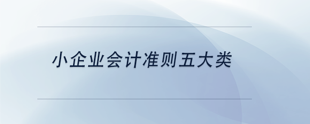 中級會計(jì)小企業(yè)會計(jì)準(zhǔn)則五大類