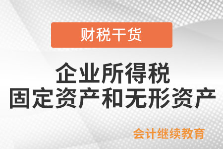 企業(yè)所得稅上的固定資產(chǎn)和無形資產(chǎn)包括什么,？
