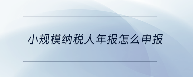 小規(guī)模納稅人年報怎么申報