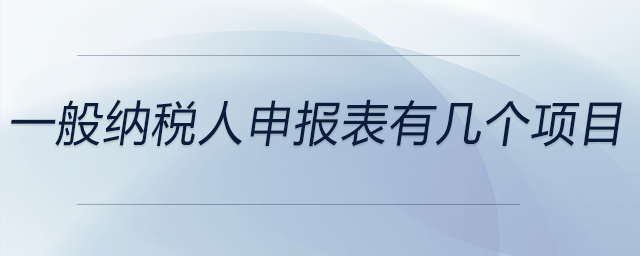 一般納稅人申報表有幾個項(xiàng)目