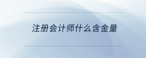 注冊(cè)會(huì)計(jì)師什么含金量