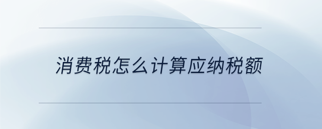 消費稅怎么計算應(yīng)納稅額