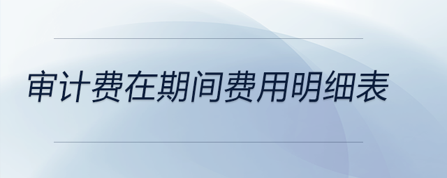 審計(jì)費(fèi)在期間費(fèi)用明細(xì)表